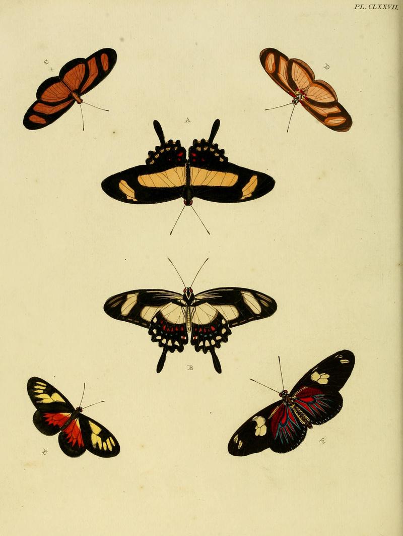 CramerAndStoll-uitlandsche kapellen vol. 2- plate 177
