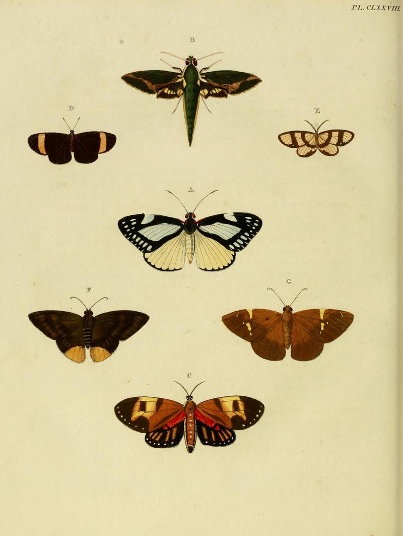 CramerAndStoll-uitlandsche kapellen vol. 2- plate 178