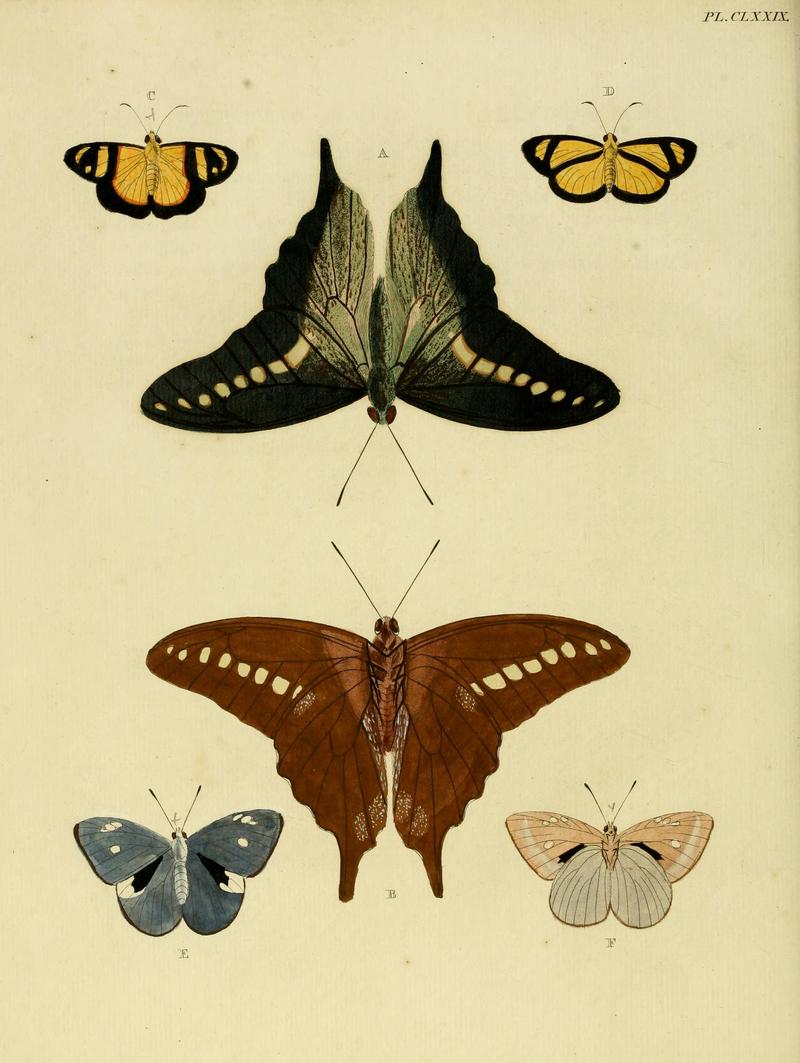 CramerAndStoll-uitlandsche kapellen vol. 2- plate 179