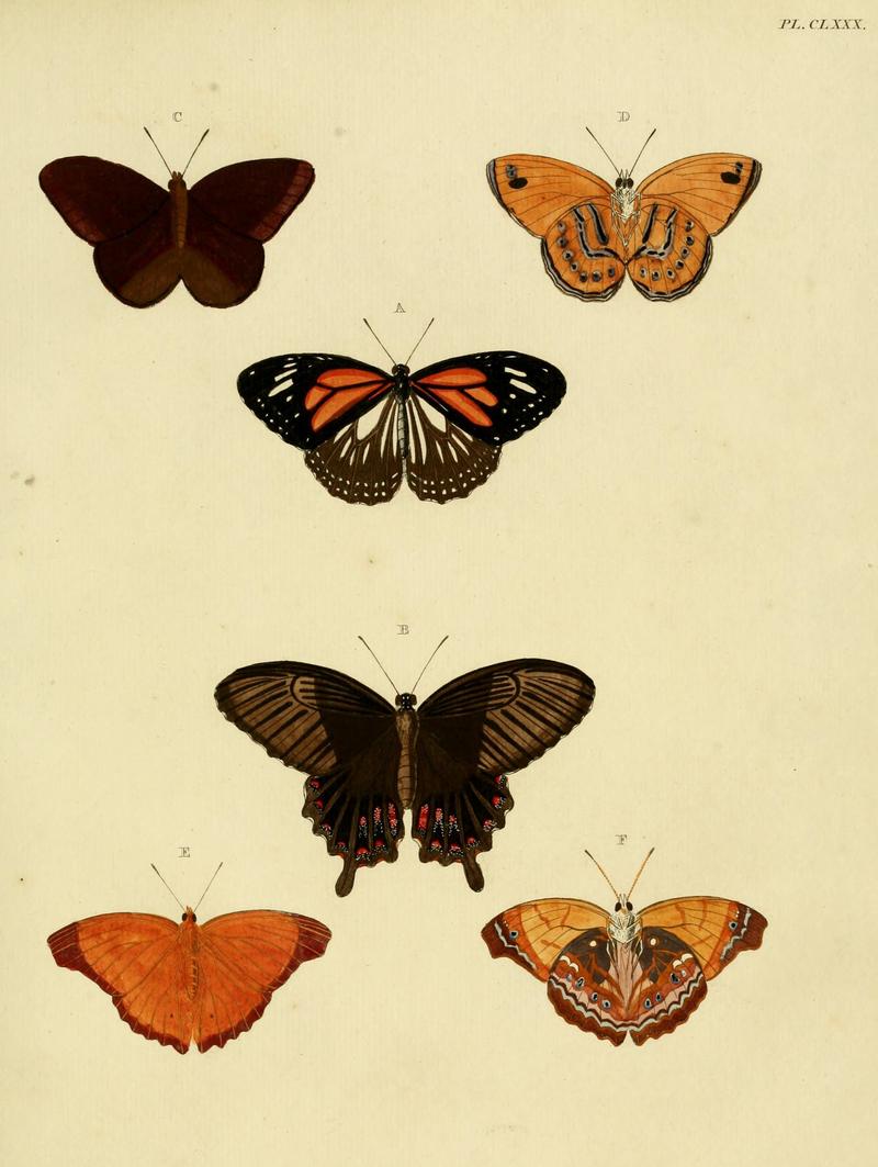 CramerAndStoll-uitlandsche kapellen vol. 2- plate 180