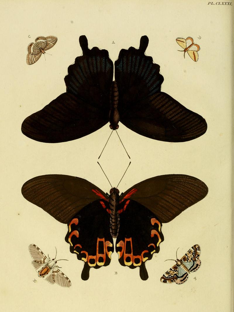 CramerAndStoll-uitlandsche kapellen vol. 2- plate 181
