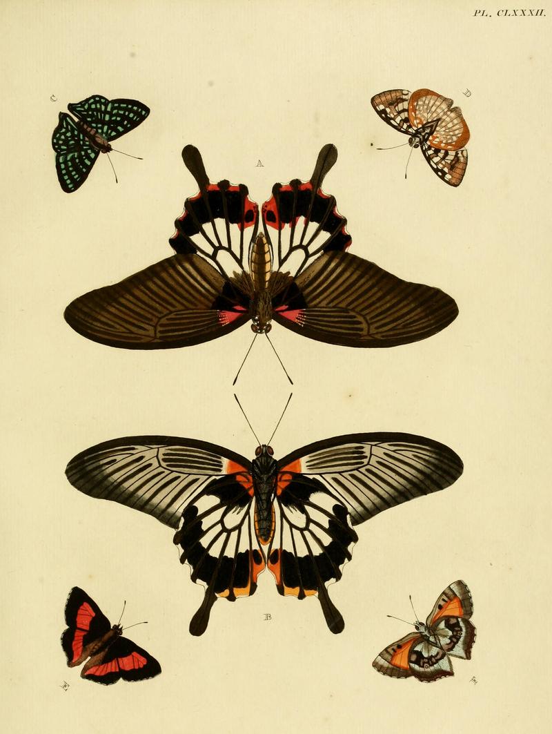 CramerAndStoll-uitlandsche kapellen vol. 2- plate 182