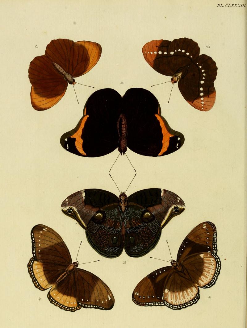 CramerAndStoll-uitlandsche kapellen vol. 2- plate 183