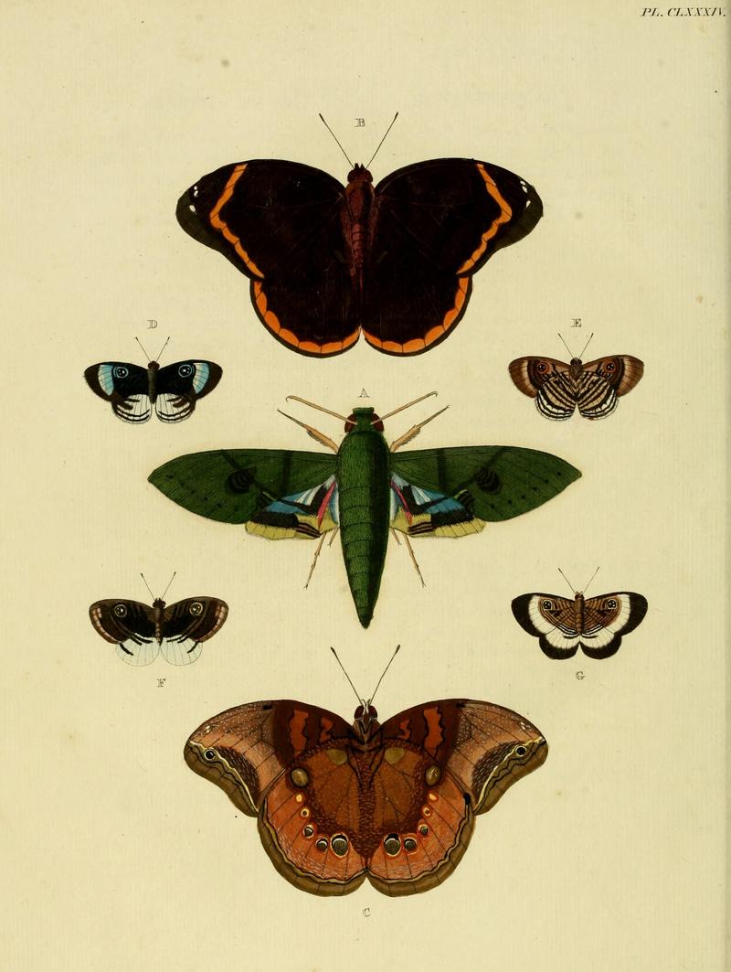CramerAndStoll-uitlandsche kapellen vol. 2- plate 184