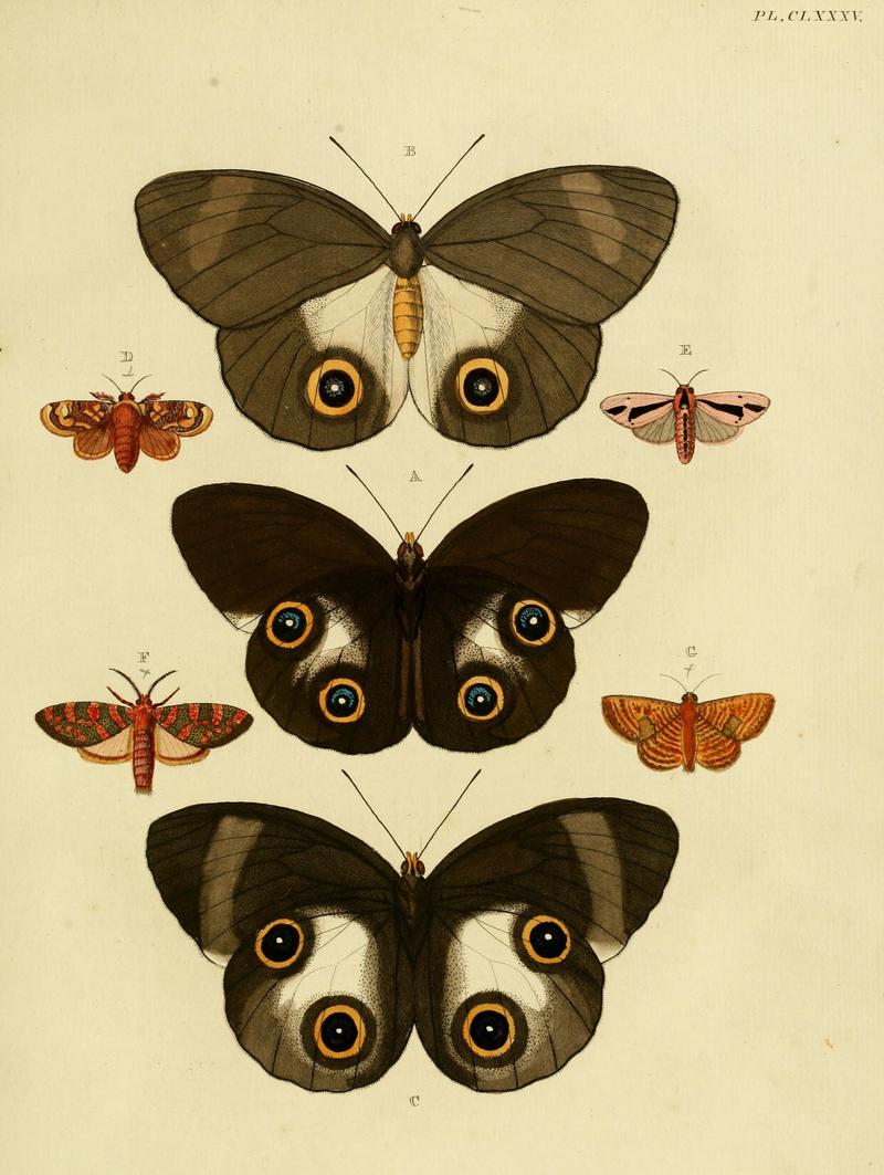 CramerAndStoll-uitlandsche kapellen vol. 2- plate 185