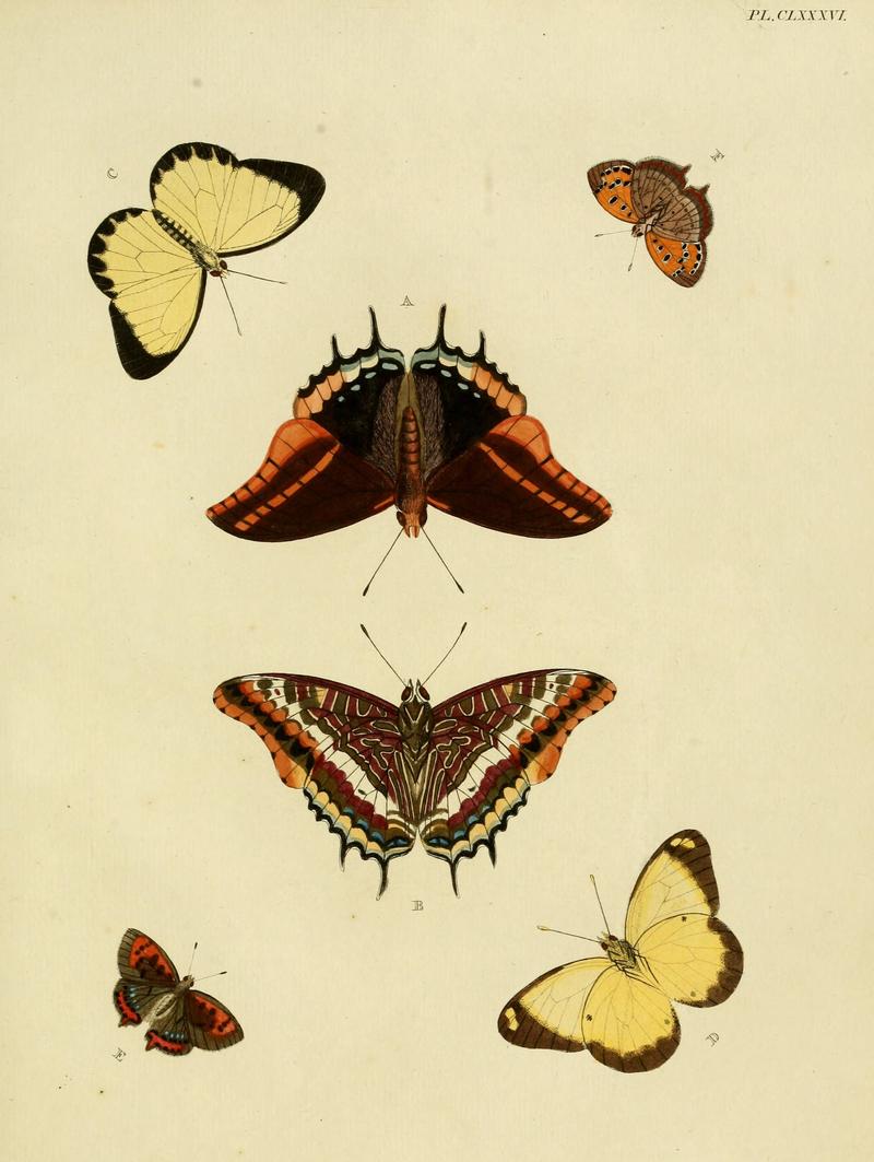 CramerAndStoll-uitlandsche kapellen vol. 2- plate 186