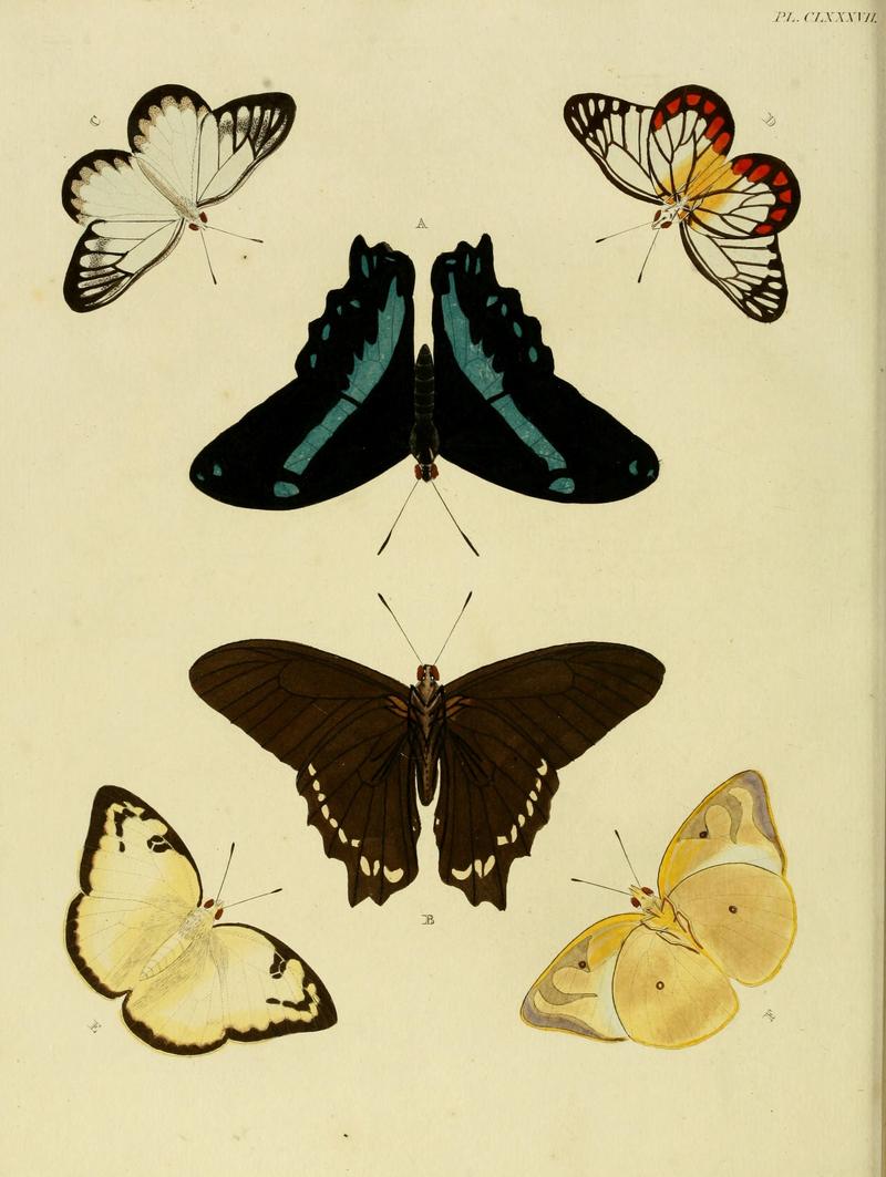 CramerAndStoll-uitlandsche kapellen vol. 2- plate 187