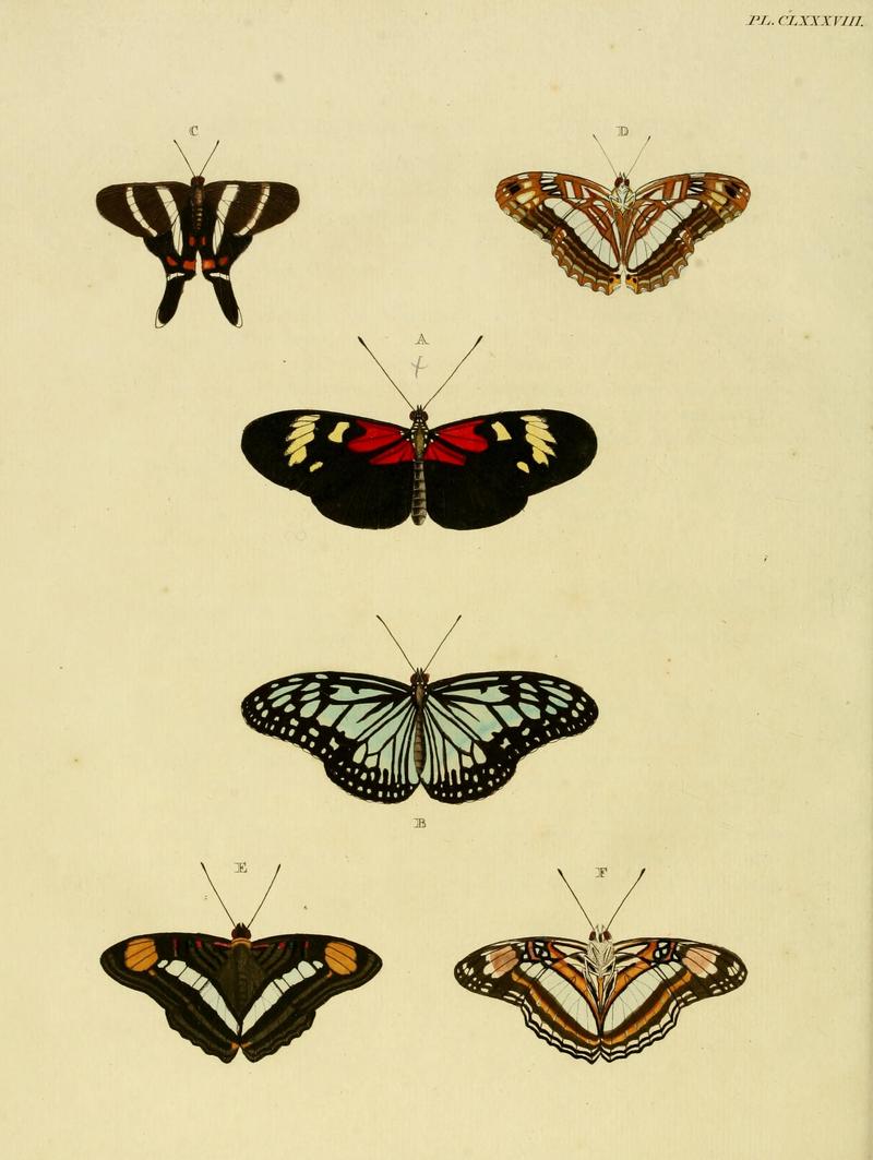 CramerAndStoll-uitlandsche kapellen vol. 2- plate 188