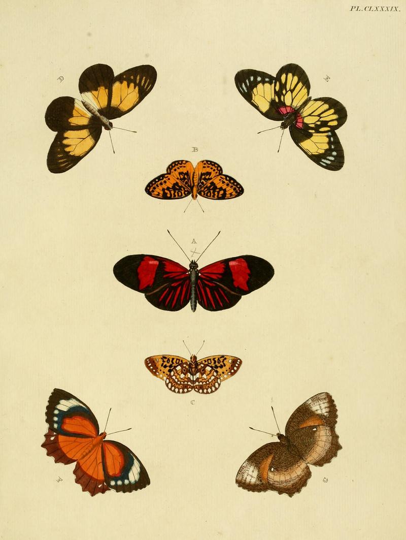 CramerAndStoll-uitlandsche kapellen vol. 2- plate 189