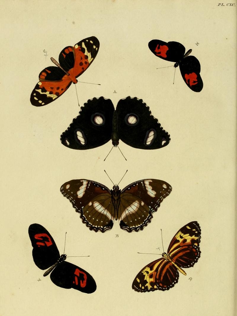CramerAndStoll-uitlandsche kapellen vol. 2- plate 190