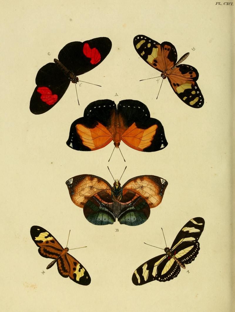 CramerAndStoll-uitlandsche kapellen vol. 2- plate 191