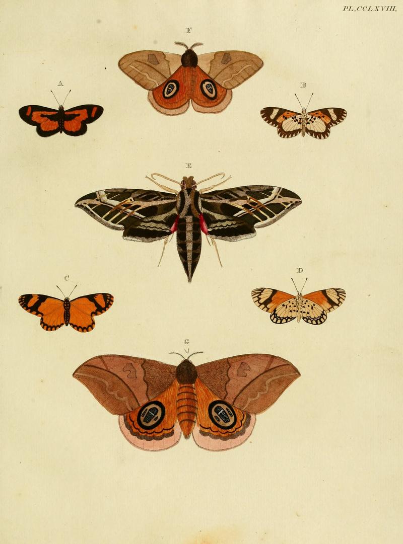 CramerAndStoll-uitlandsche kapellen vol. 3- pl 268