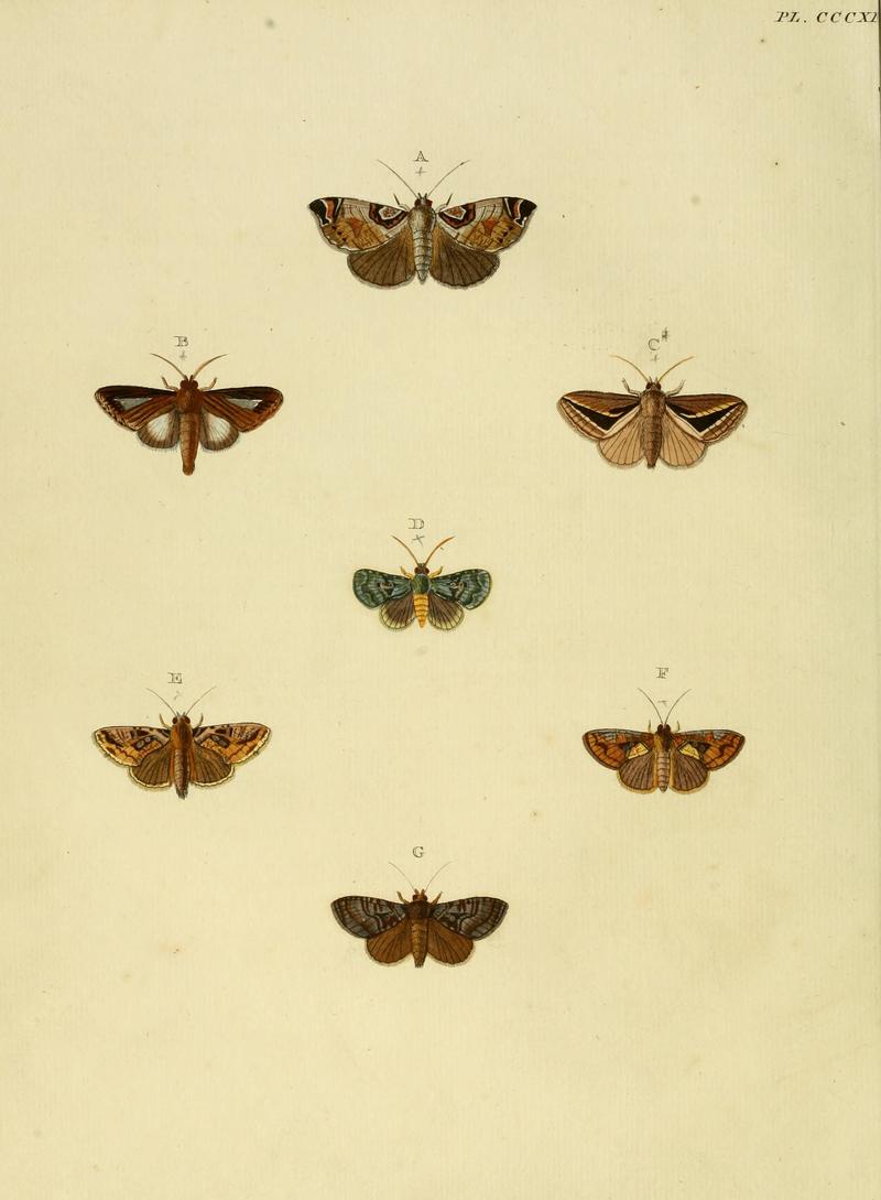 CramerAndStoll-uitlandsche kapellen vol. 4- pl 311