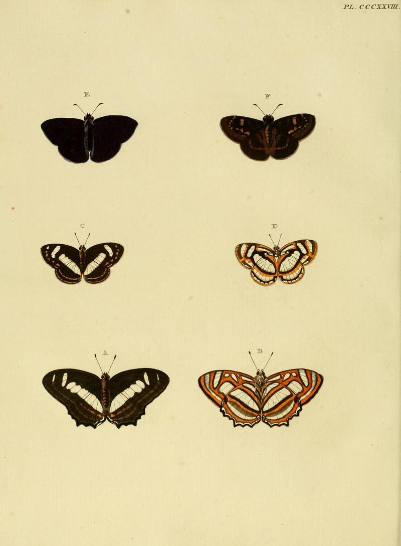 CramerAndStoll-uitlandsche kapellen vol. 4- pl 328