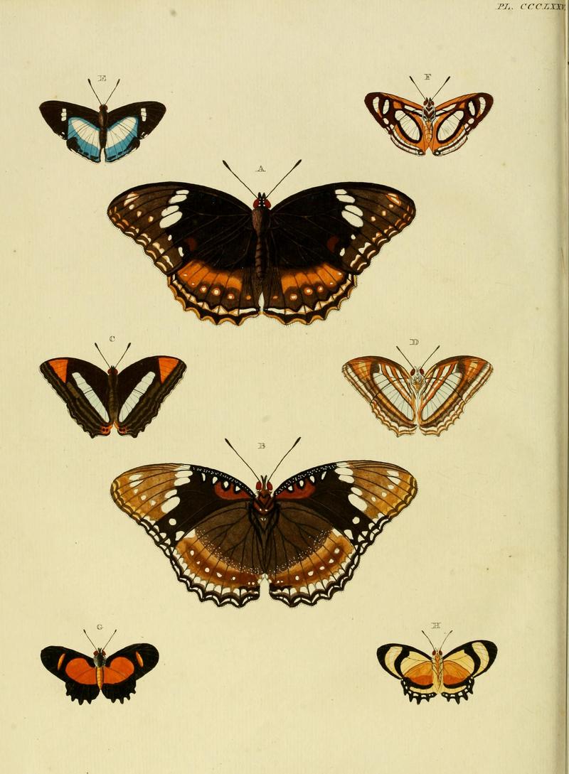 CramerAndStoll-uitlandsche kapellen vol. 4- pl 376