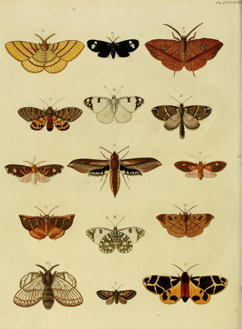 CramerAndStoll-uitlandsche kapellen vol. 4- pl 397