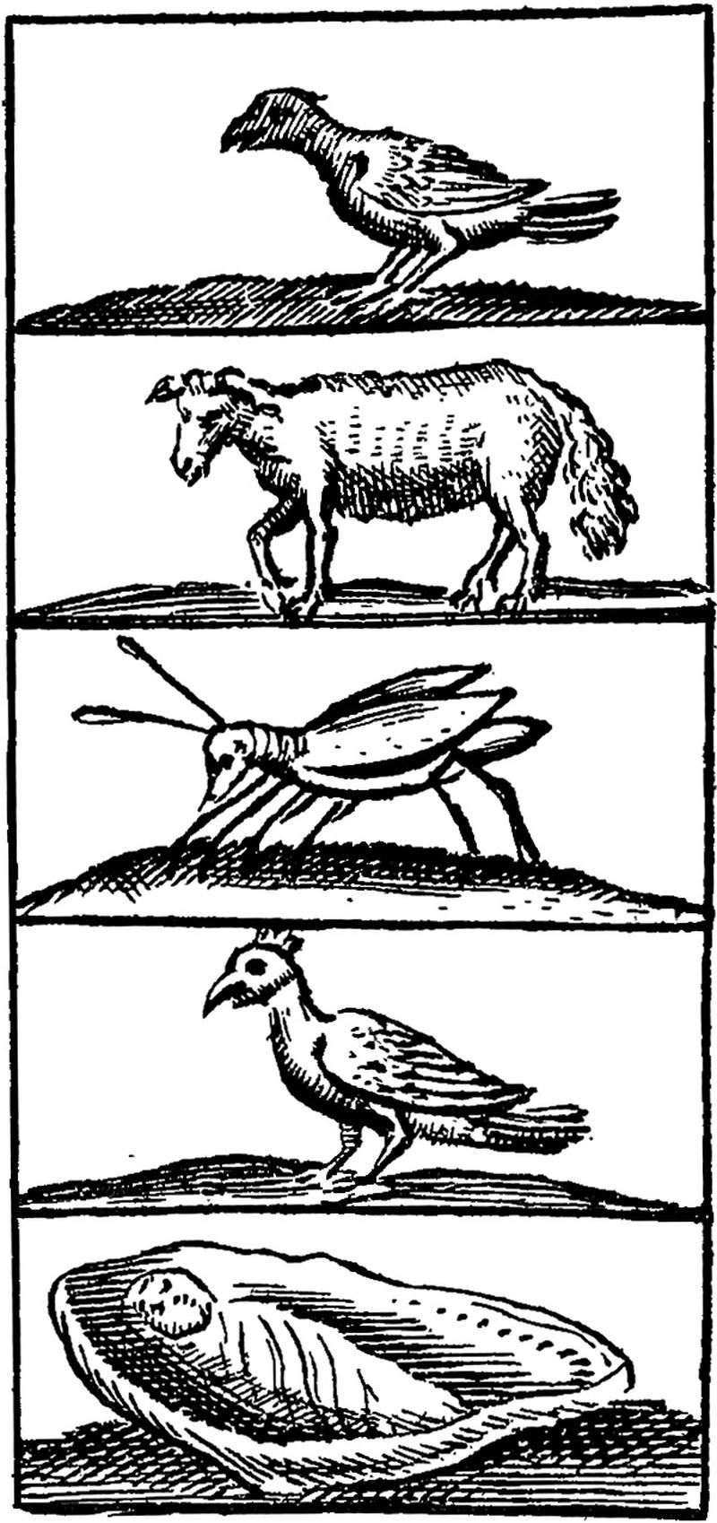 Crow, lamb, grasshopper, hoopoe and infant (Orbis pictus)