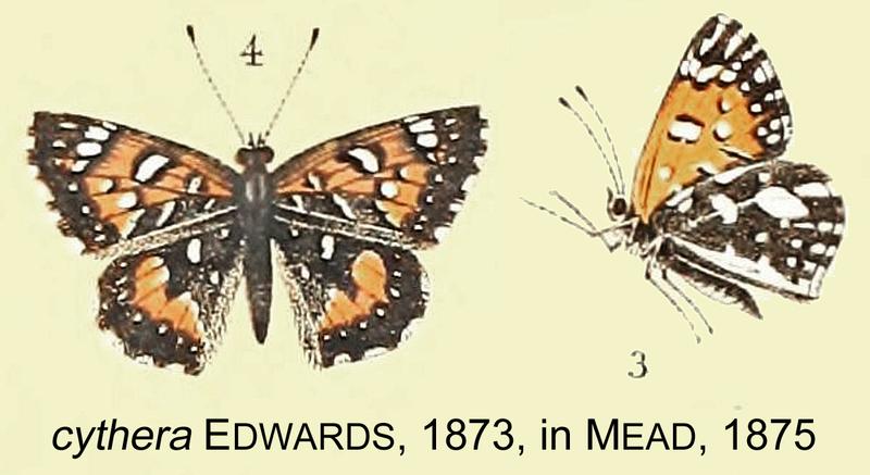 Cythera inMead1875