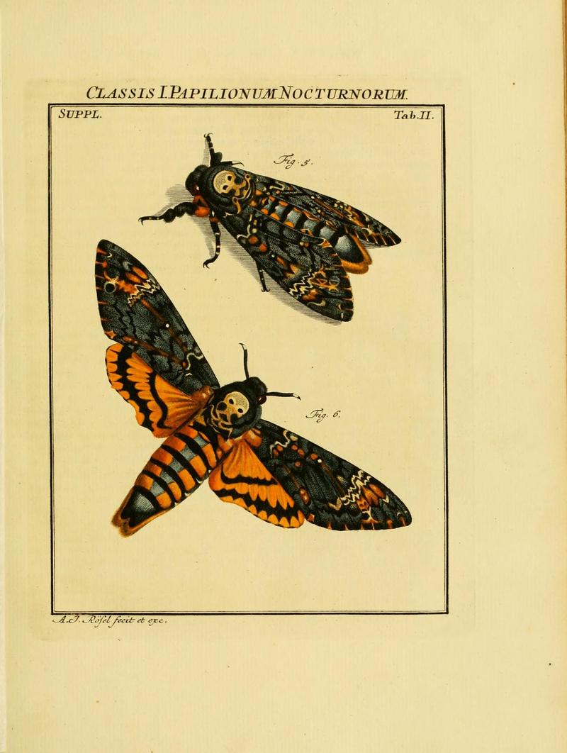 De natuurlyke historie der insecten (Tab. II) (7158143188)