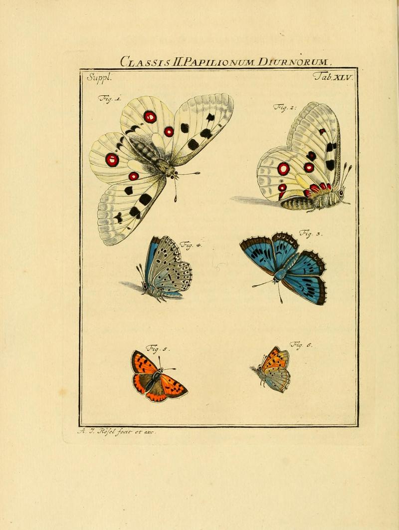 De natuurlyke historie der insecten (Tab. XLV) (7158198554)