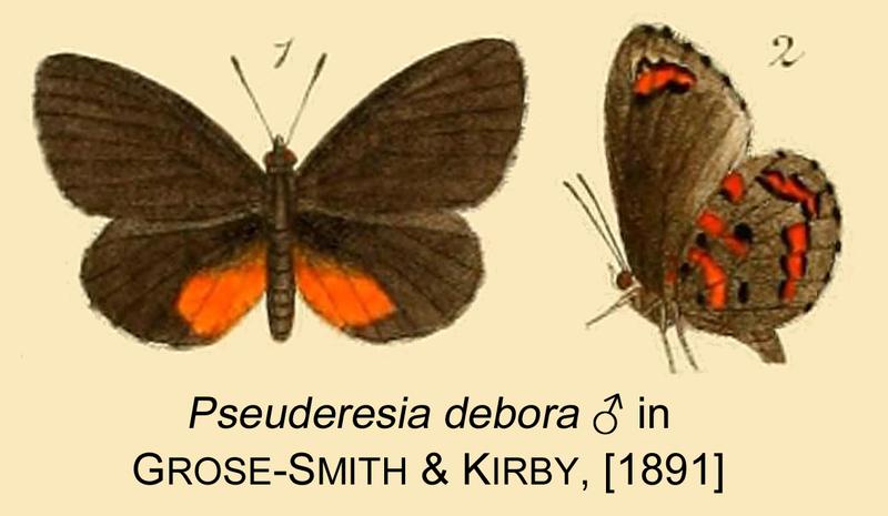 Debora inGSK1891