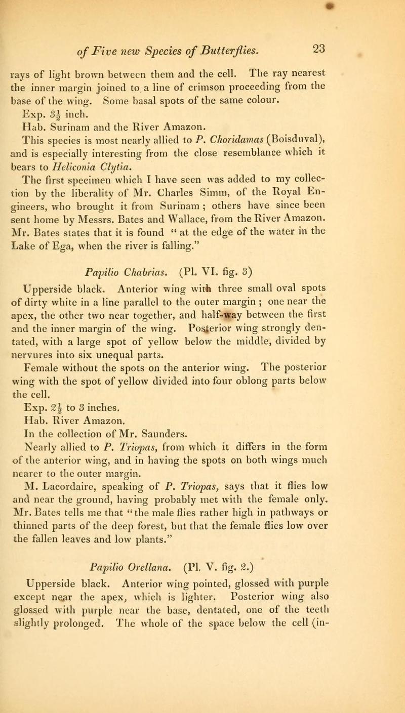 Description of Parides chabrias Transactions ES 1852