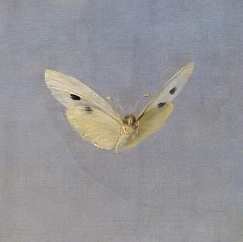 French: Psyché et l'Amour, dit aussi Psyché recevant le premier baiser de l'Amour. Cupid and Psyche title QS:P1476,fr:"Psyché et l'Amour, dit aussi Psyché recevant le premier baiser de l'Amour. " label QS:Lfr,"Psyché et l'Amour, dit aussi Psyché recevant le premier baiser de l'Amour. " label QS:Lro,"Cupidon și Psyche" label QS:Lca,"Eros i Psique" label QS:Lcs,"Amor a Psyché" label QS:Leu,"Eros eta Psike (Gérard)" label QS:Lzh,"賽姬接受丘比特的初吻" label QS:Lit,"Amore e Psiche" label QS:Les,"Eros y Psique" label QS:Lde,"Amor und Psyche" label QS:Len,"Cupid and Psyche" label QS:Lhy,"Անուրն ու Փսիխեան" label QS:Lda,"Amor kysser Psyke"