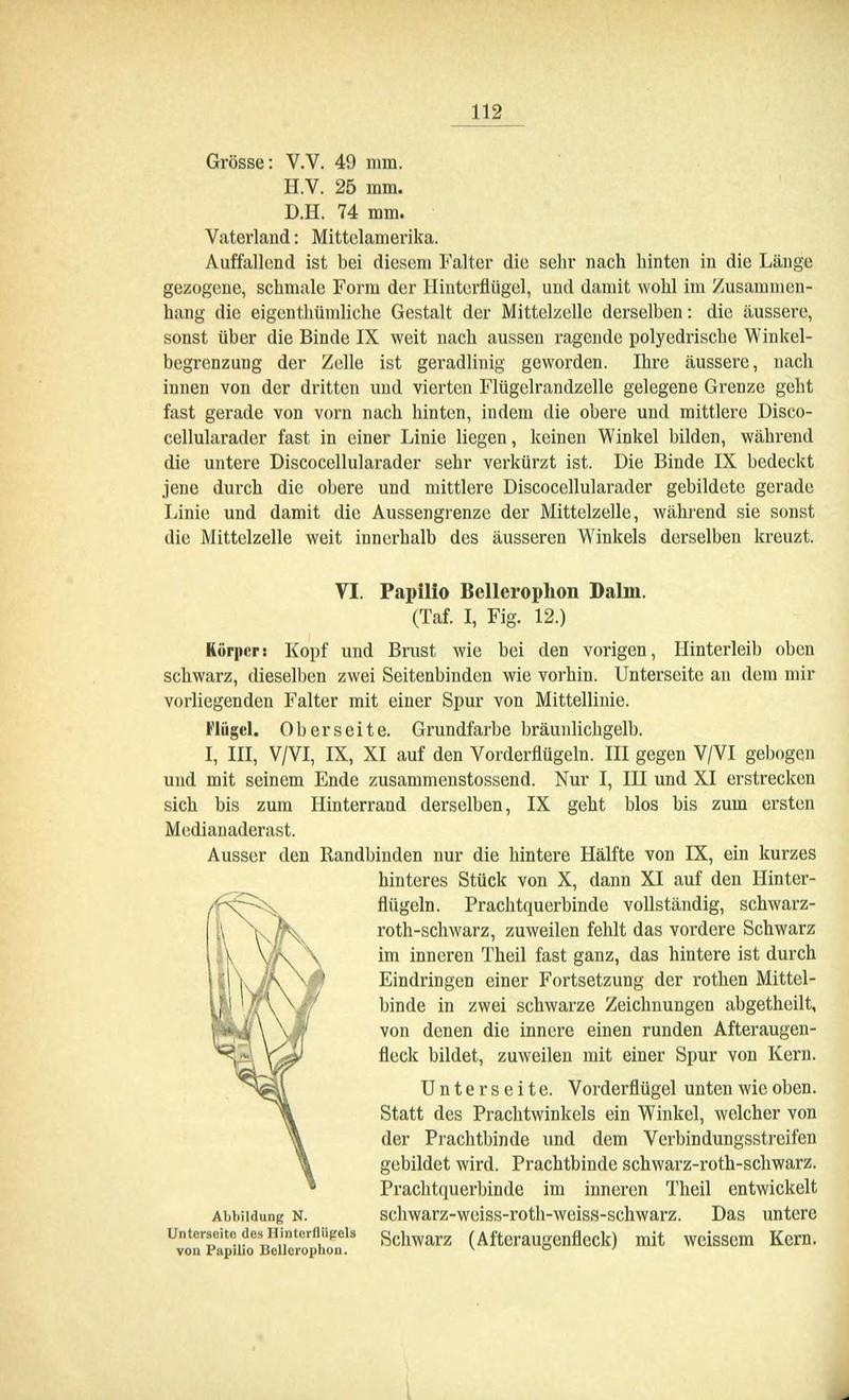 Die Artbildung und Verwandtschaft bei den Schmetterlingen (Page 112) BHL42441643
