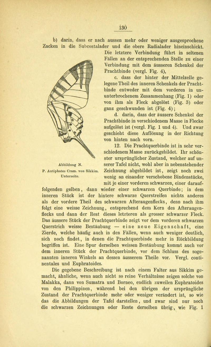 Die Artbildung und Verwandtschaft bei den Schmetterlingen (Page 130) BHL42441661