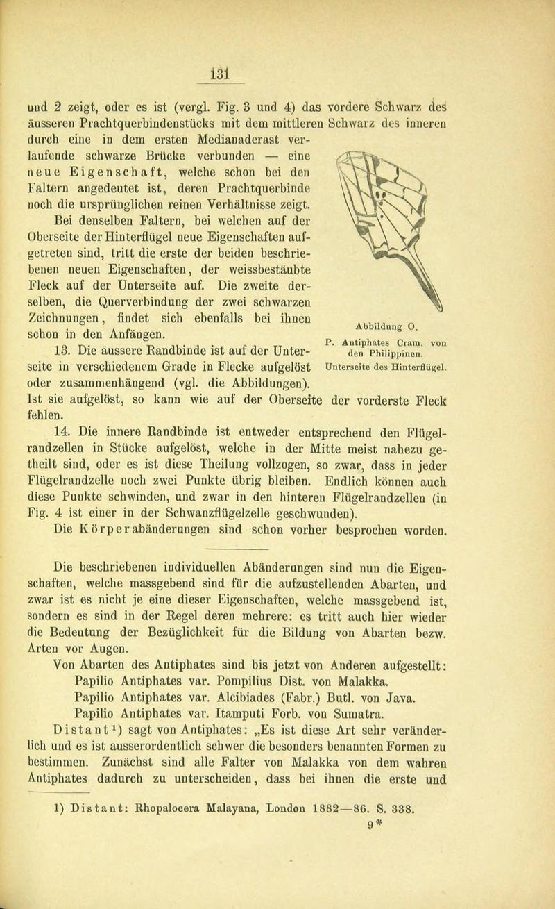 Die Artbildung und Verwandtschaft bei den Schmetterlingen (Page 131) BHL42441662