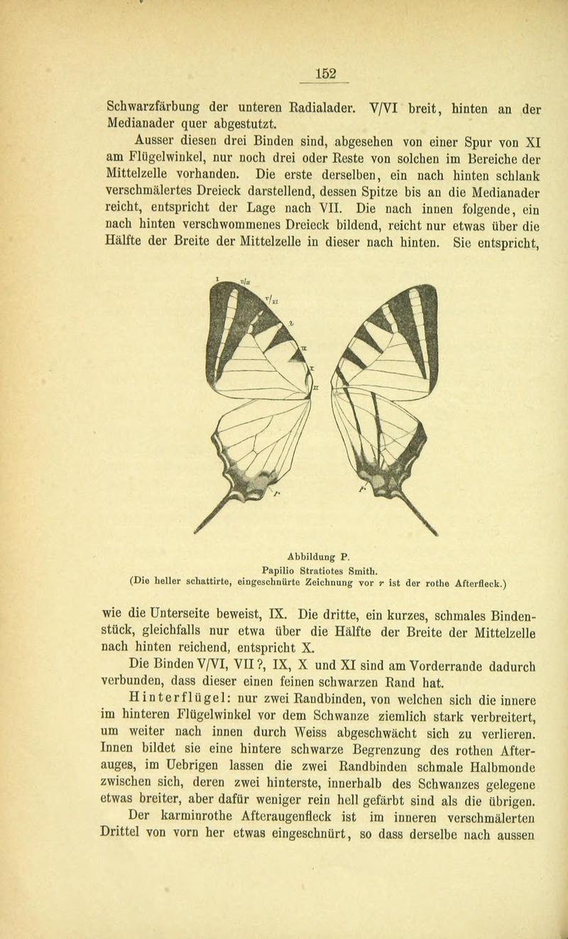 Die Artbildung und Verwandtschaft bei den Schmetterlingen (Page 152) BHL42441683