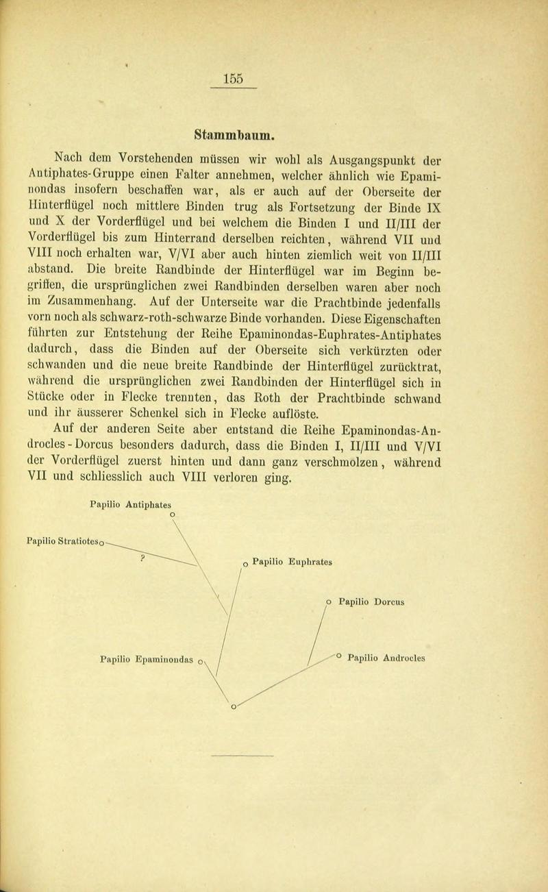 Die Artbildung und Verwandtschaft bei den Schmetterlingen (Page 155) BHL42441686