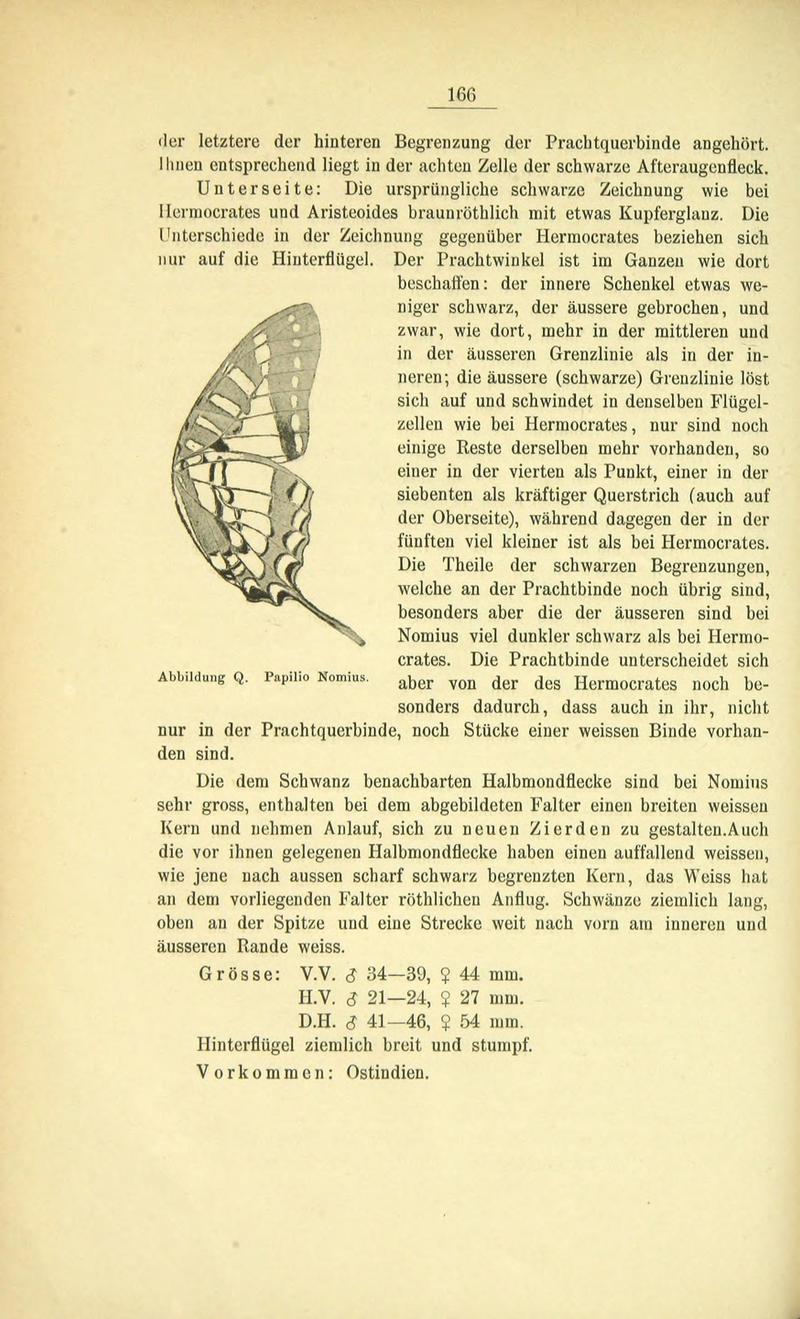Die Artbildung und Verwandtschaft bei den Schmetterlingen (Page 166) BHL42441697