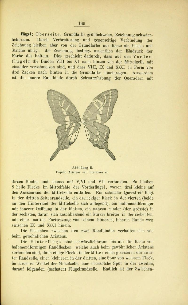Die Artbildung und Verwandtschaft bei den Schmetterlingen (Page 169) BHL42441700