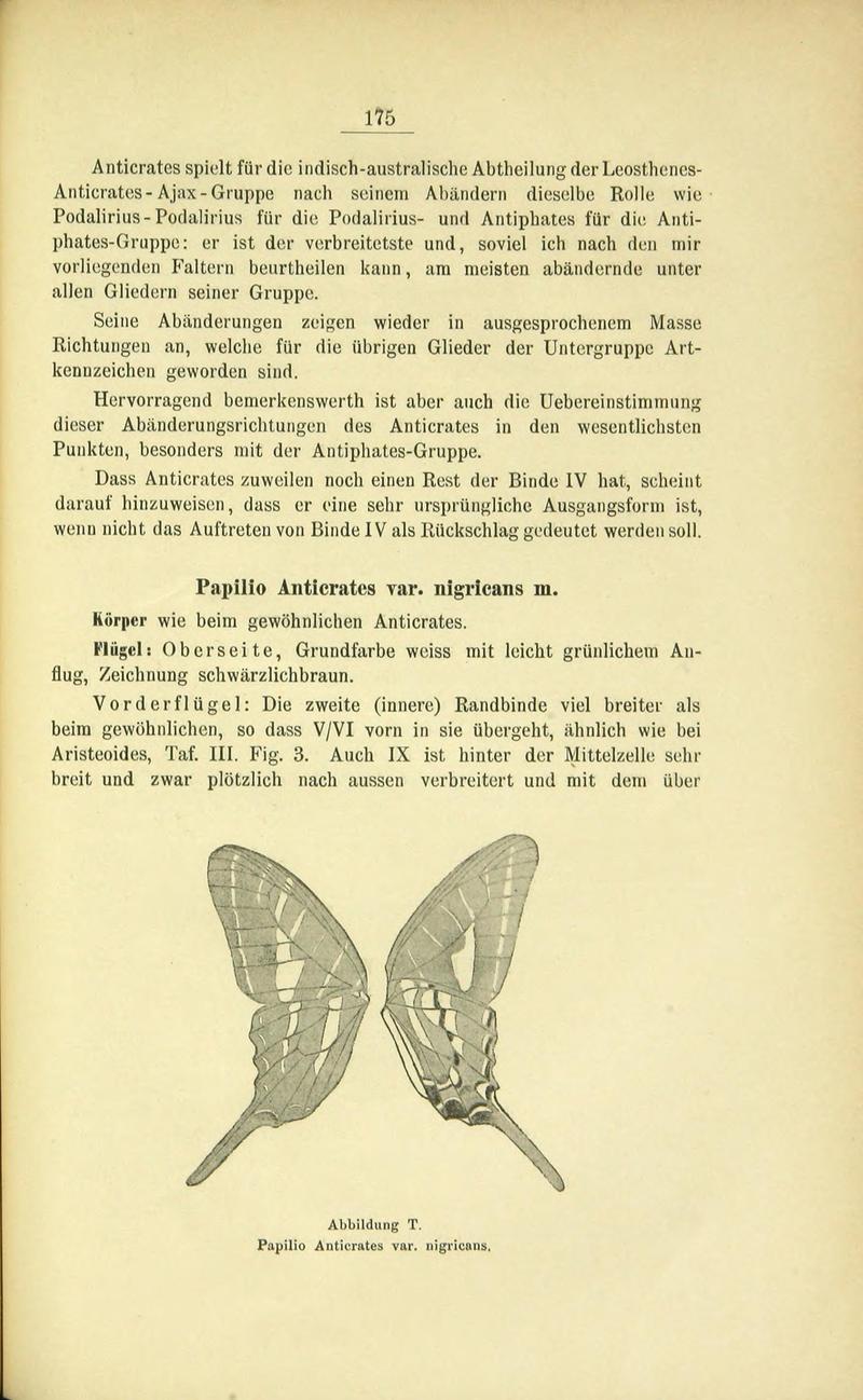 Die Artbildung und Verwandtschaft bei den Schmetterlingen (Page 175) BHL42441706