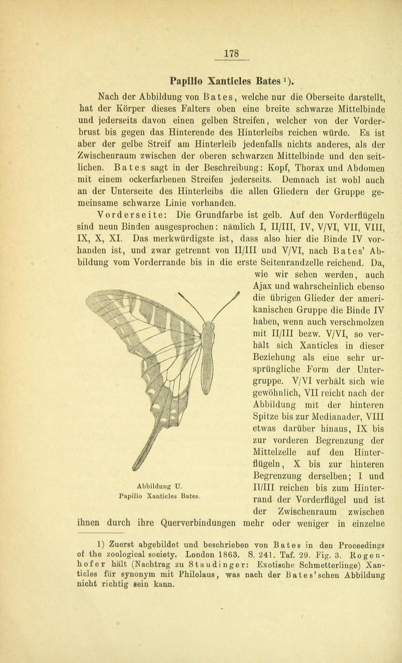 Die Artbildung und Verwandtschaft bei den Schmetterlingen (Page 178) BHL42441709