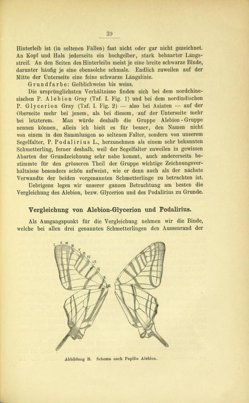Die Artbildung und Verwandtschaft bei den Schmetterlingen (Page 39) BHL42441570