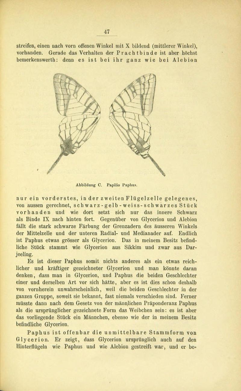 Die Artbildung und Verwandtschaft bei den Schmetterlingen (Page 47) BHL42441578