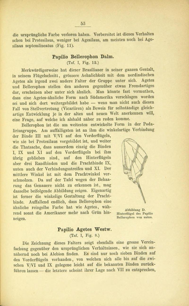 Die Artbildung und Verwandtschaft bei den Schmetterlingen (Page 53) BHL42441584