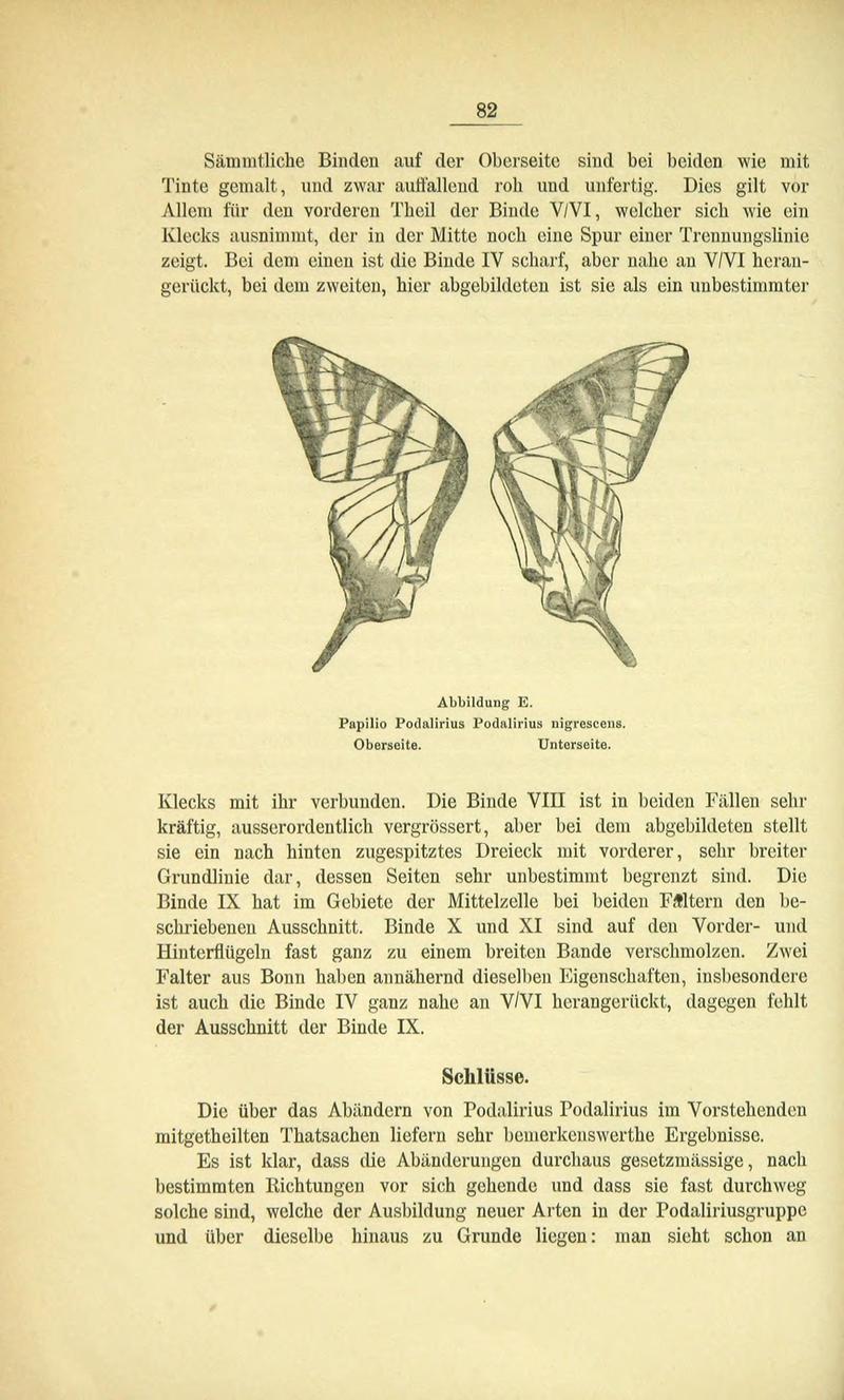 Die Artbildung und Verwandtschaft bei den Schmetterlingen (Page 82) BHL42441613