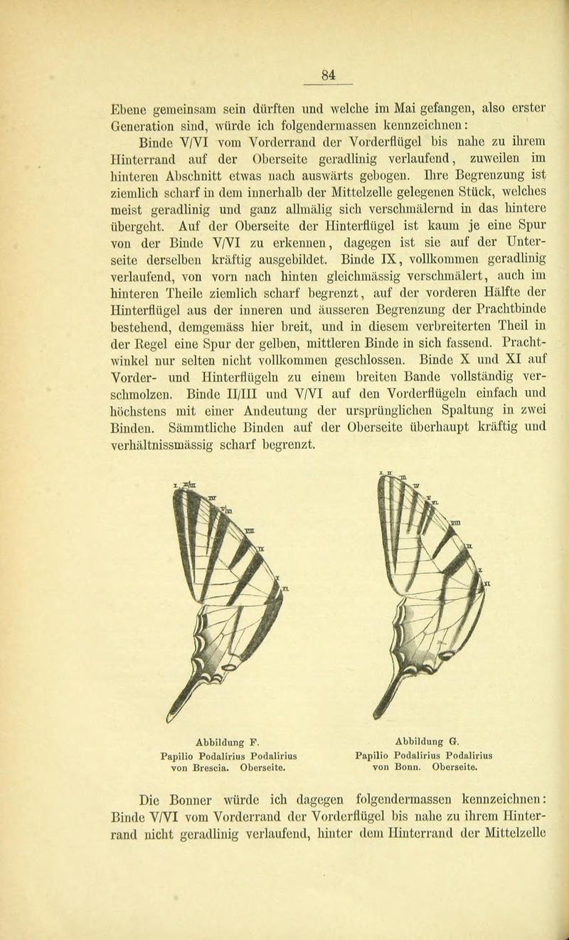 Die Artbildung und Verwandtschaft bei den Schmetterlingen (Page 84) BHL42441615