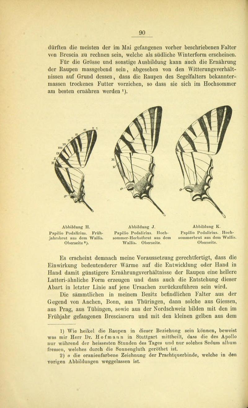 Die Artbildung und Verwandtschaft bei den Schmetterlingen (Page 90) BHL42441621
