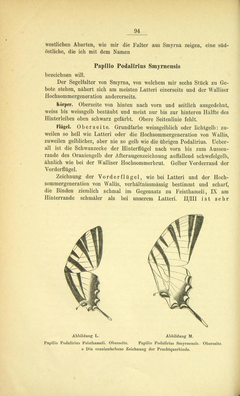 Die Artbildung und Verwandtschaft bei den Schmetterlingen (Page 94) BHL42441625