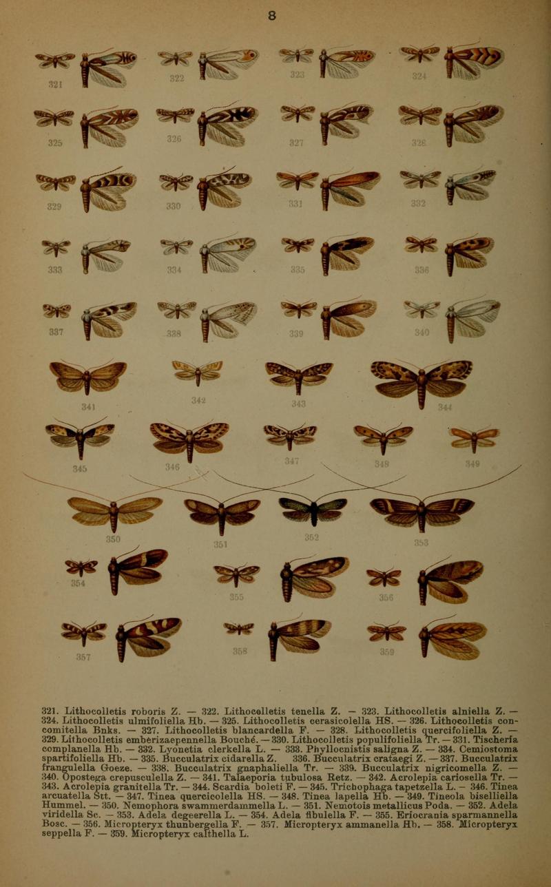 Die Schmetterlinge Deutschlands mit besonderer Berücksichtigung ihrer Biologie (Pl. 8) (7017549463)