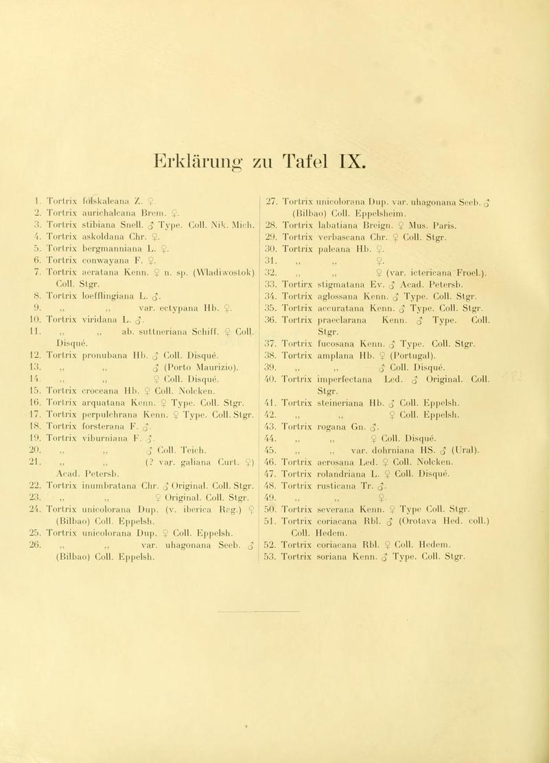 Die palaearktischen tortriciden TafelIXText