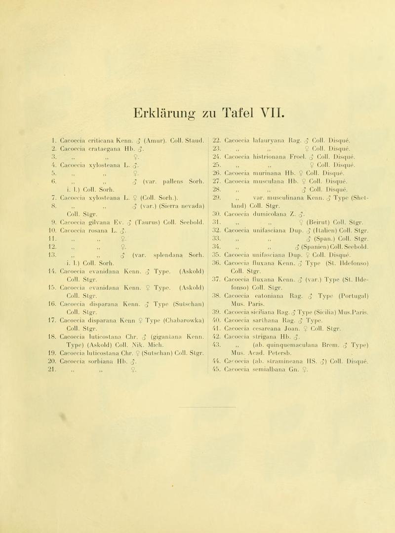 Die palaearktischen tortriciden TafelVIIText