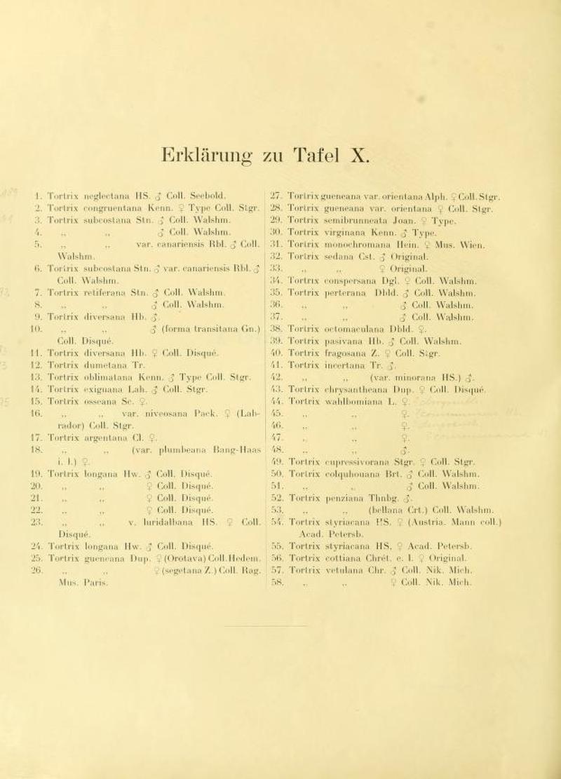 Die palaearktischen tortriciden TafelXText