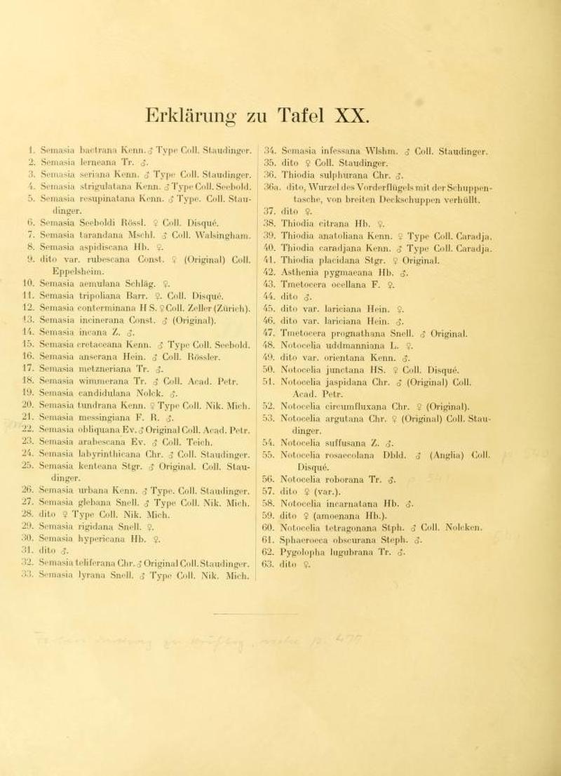 Die palaearktischen tortriciden TafelXXText