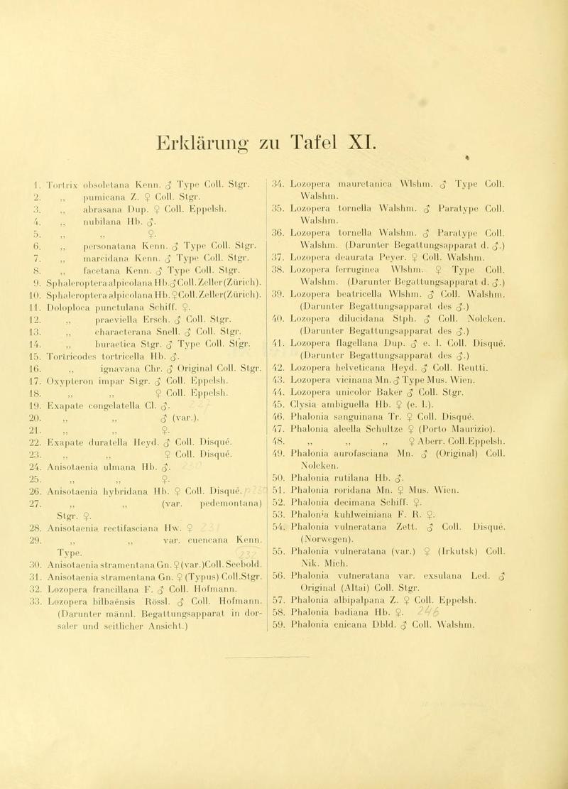 Die palaearktischen tortriciden Tafel XI text