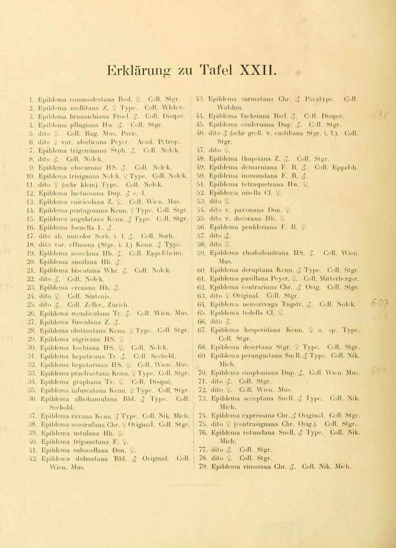 Die palaearktischen tortriciden Tafel XXII text